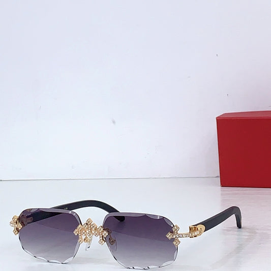 Cartier Glasses